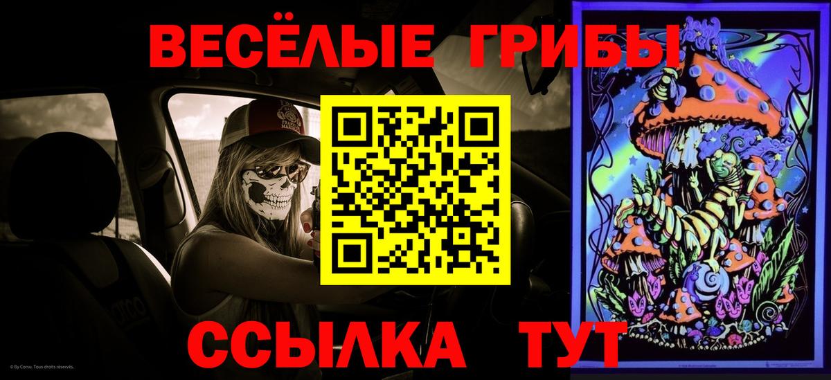 Касимов  Галлюциногенные грибы GOLDEN TEACHER  Вход с VPN  Галлюциногенные грибы Psilocybine cubensis 